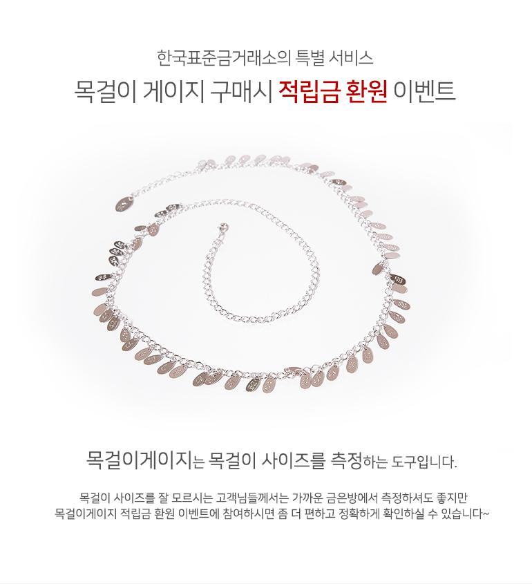 목걸이 게이지 상세정보 1