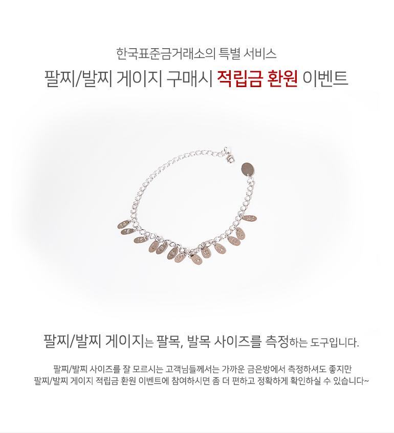 팔찌/발찌 게이지 상세정보 1