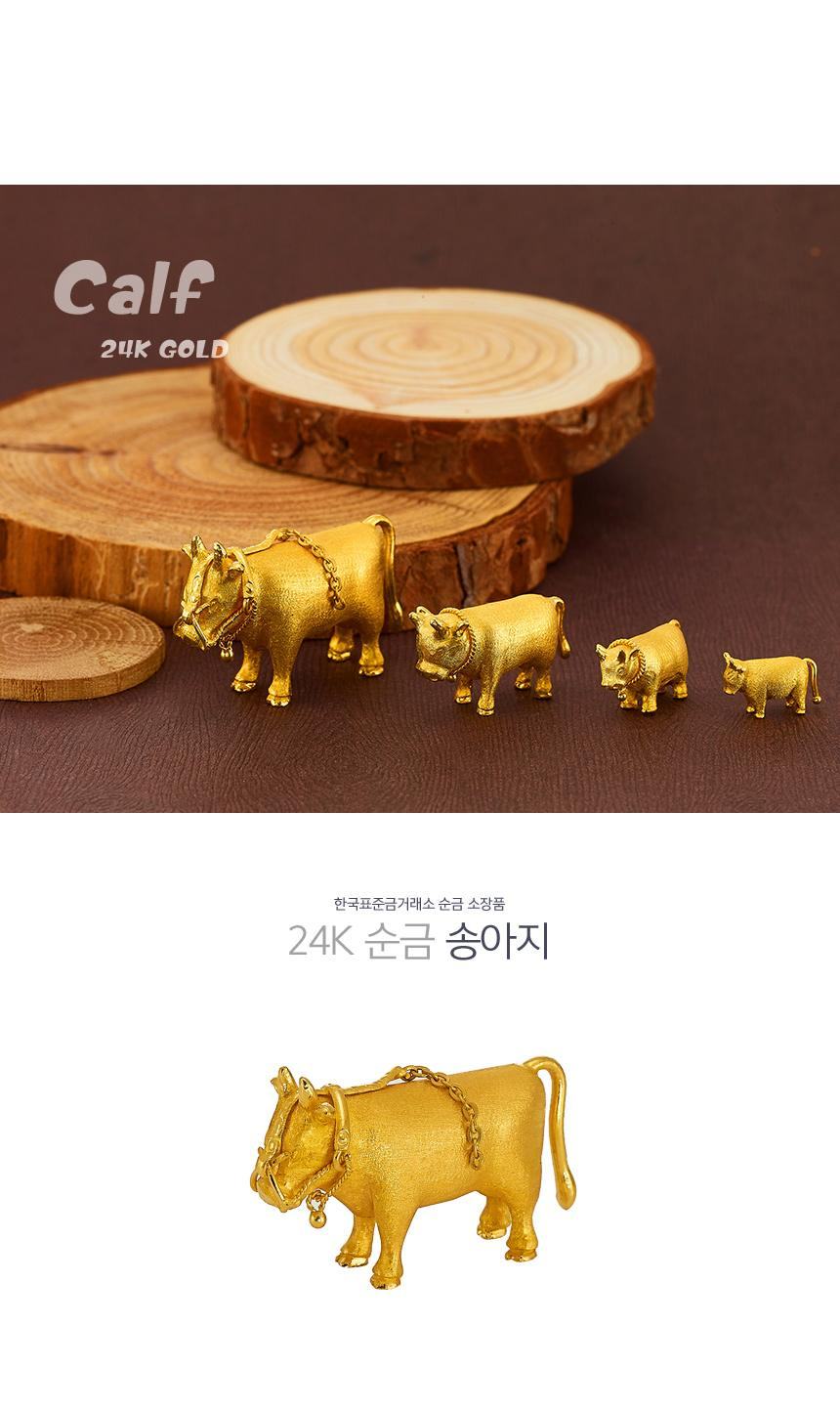 24K 순금 송아지 상세정보 1