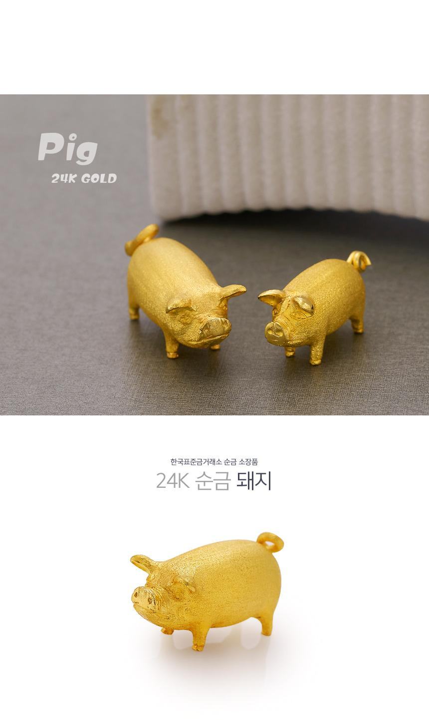 24K 순금 돼지 상세정보 1